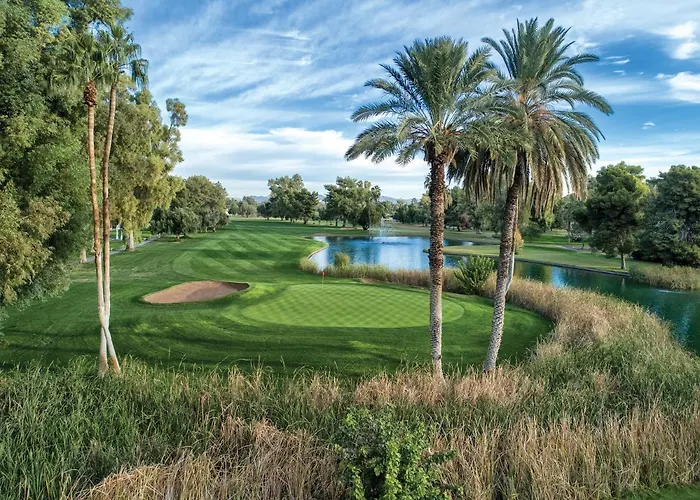 Orange Tree 4*
