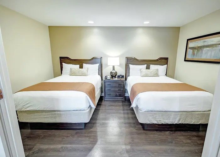 Orange Tree Resort