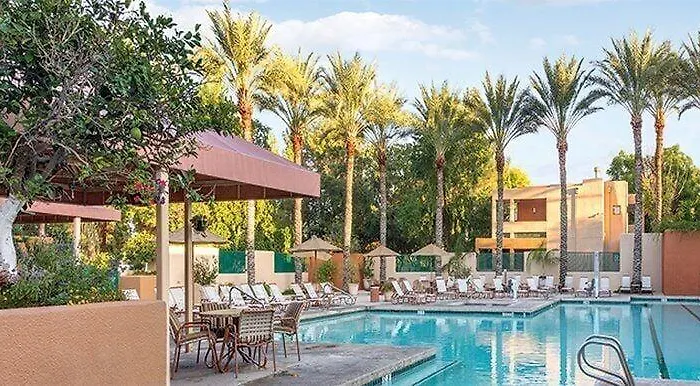 Orange Tree Phoenix