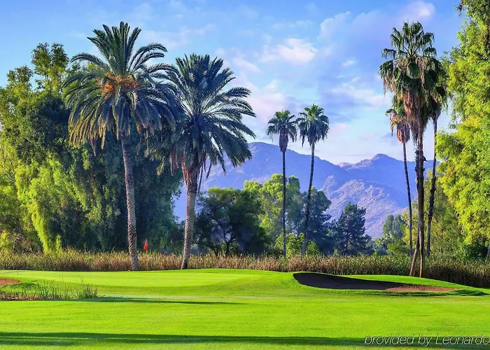 Resort Orange Tree Phoenix